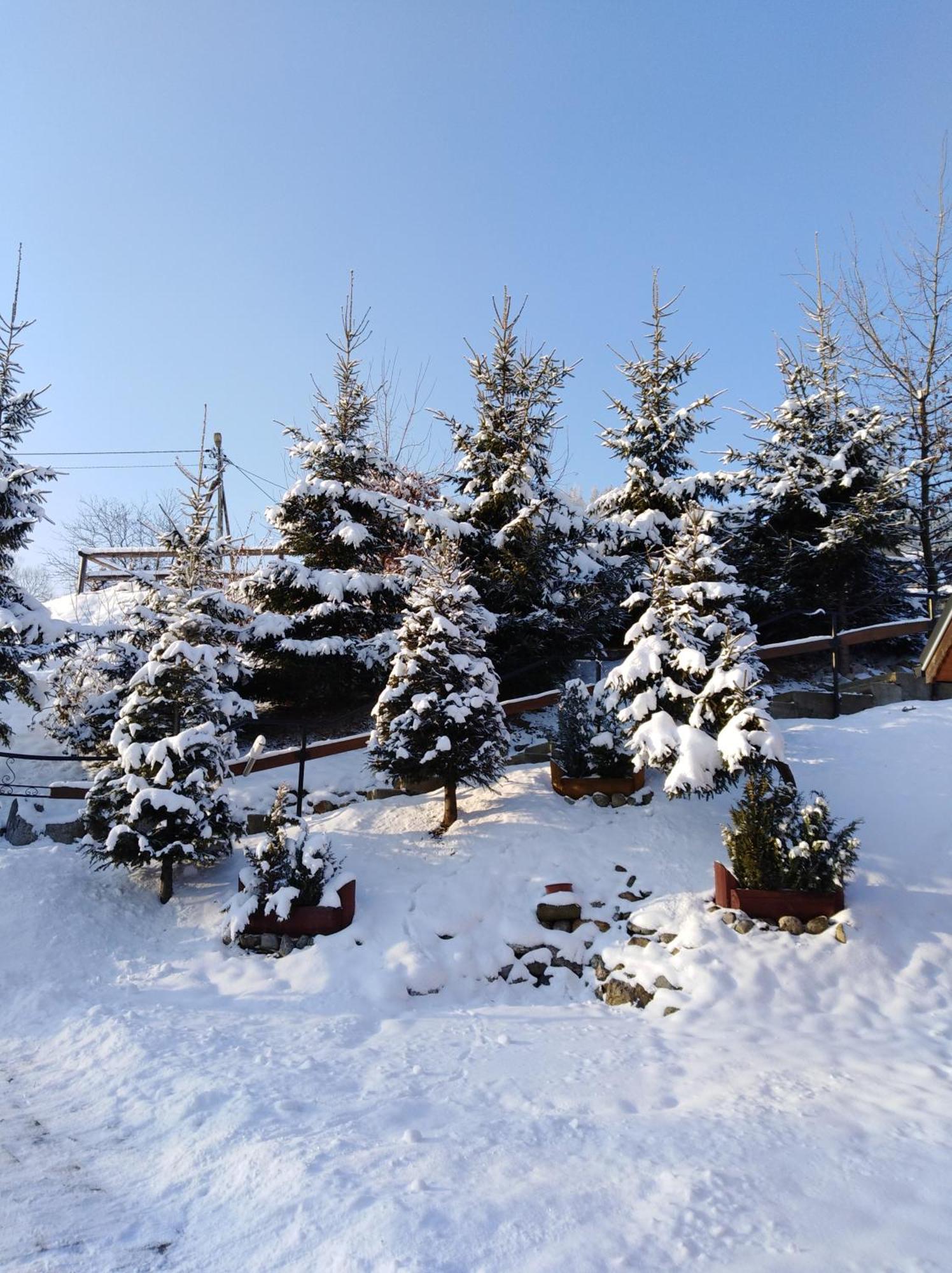 Inksy Domek Harenda Zakopane Exterior photo